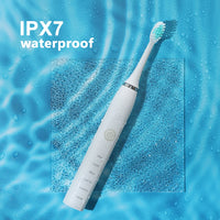 Electric Sonic Dental Calculus Remover for Professional Teeth Whitening