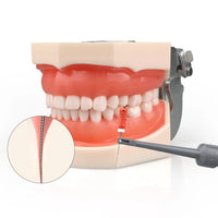 Wireless Dental Endo Motor with Apex Locator for Root Canal Treatment