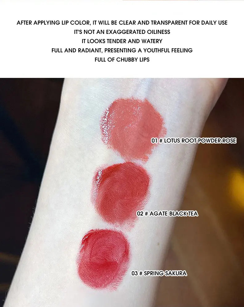 Hydrating Moisturizing Lip Gloss Set - 10