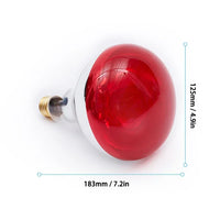 Infrared Red Light Therapy Bulb for Pain Relief & Muscle Recovery