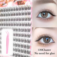 Glue-Free Manga Style DIY Eyelash Extension Kit