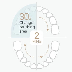 Rechargeable Sonic Electric Toothbrush for Whiter Teeth - 11