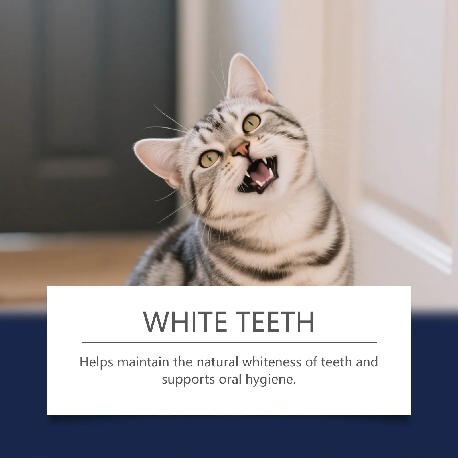 Pet Teeth Whitening & Plaque Cleaning Pen - 14
