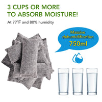 Natural Bamboo Charcoal Odor Absorber Bags (10 Pack)
