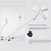 Professional LED Teeth Whitening System for Dental Clinics
