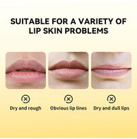 Propolis Hydrating Honey Lip Repair Gel