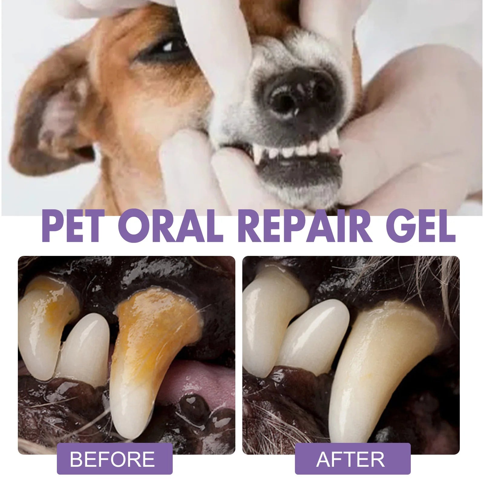 Pet Oral Repair Gel for Teeth Cleaning and Fresh Breath - 14
