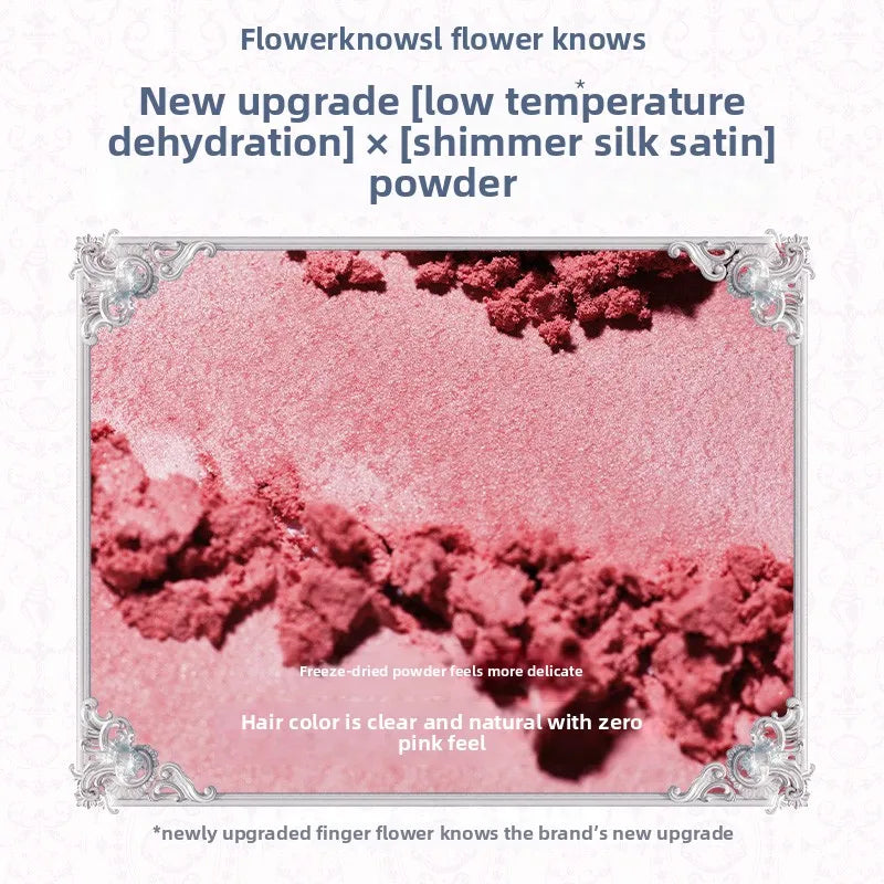 Silk Satin Powder Blush in Seashell Compact - 5
