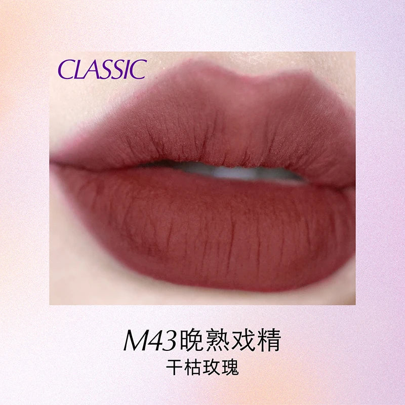 Velvet Matte Liquid Lipstick - Long-Lasting Waterproof Lip Stain - 21