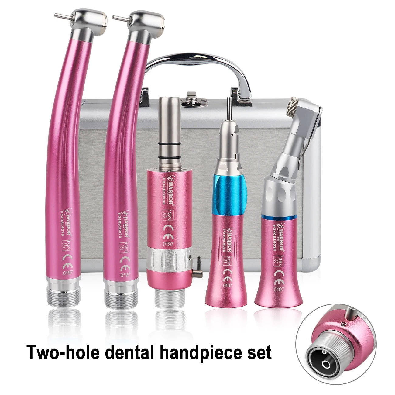 Professional 5-Piece Dental Handpiece Kit - 17