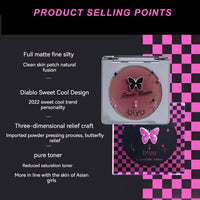 Matte Powder Blusher for a Natural Sweet Glow
