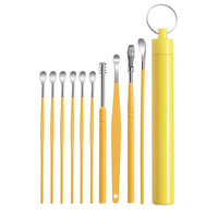 Professional Stainless Steel Ear Wax Removal Kit
