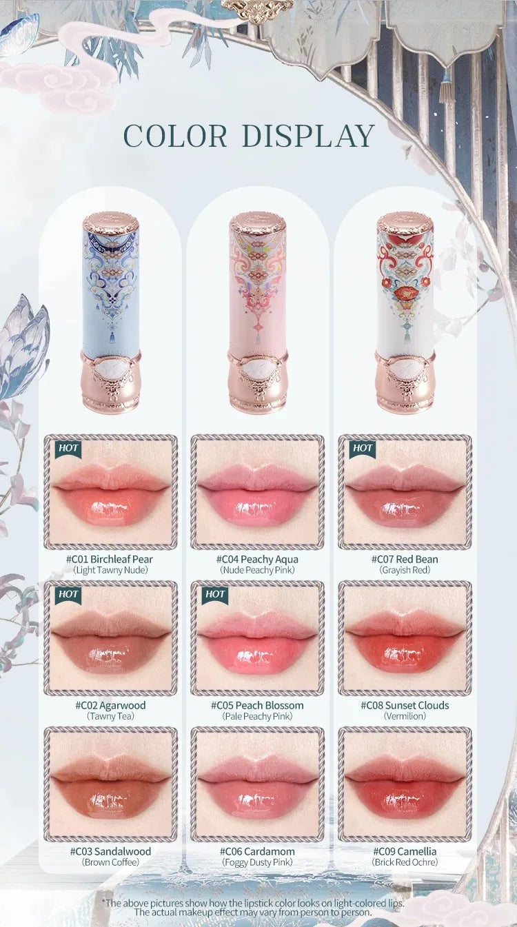 Moisturizing High-Pigment Glossy Lipstick - 13