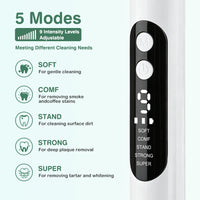 Ultrasonic Electric Teeth Tartar and Plaque Remover