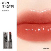 Velvet Matte Long-Lasting Hydrating Lipstick