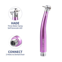 LED Dental High-Speed Handpiece with Triple Water Spray