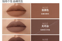 Velvet Matte Waterproof Lip Stain