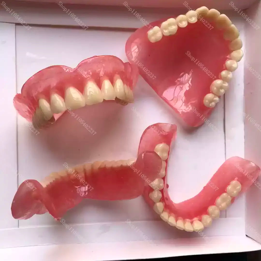 Full Mouth Denture Dental Study Model - 7