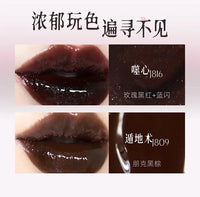 Shimmer Mirror Finish Hydrating Lip Gloss
