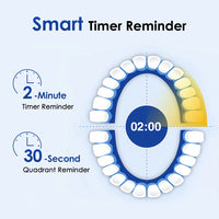 Rechargeable Rotary Electric Toothbrush with 4 Heads