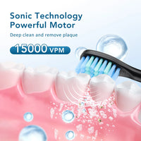 Rechargeable Sonic Electric Toothbrush with 6 Modes