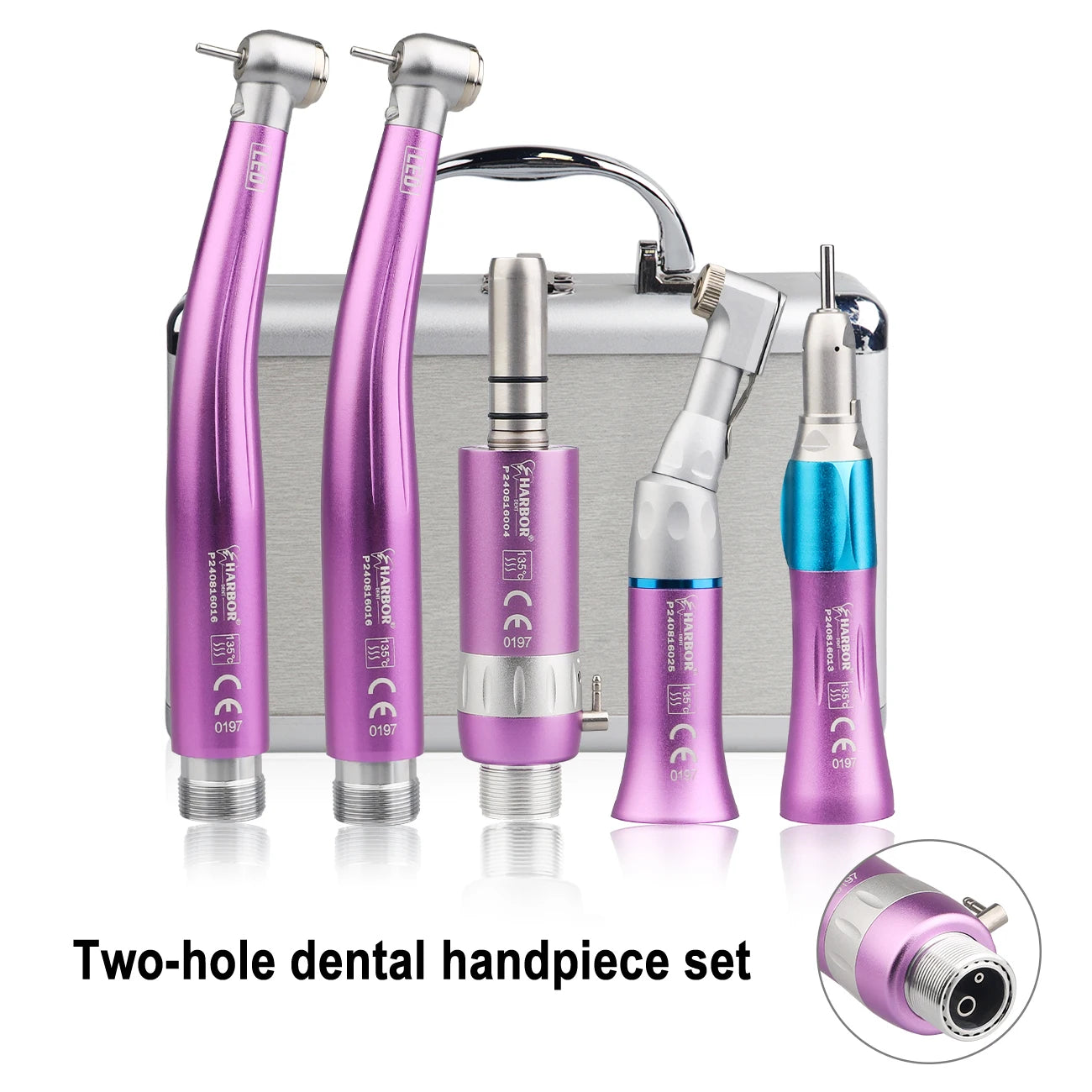 Professional 5-Piece LED Dental Handpiece Kit - 28