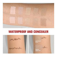 2-in-1 Full Coverage Blurring Concealer and Stick