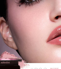 Long-Lasting Pigmented Face Blusher Powder