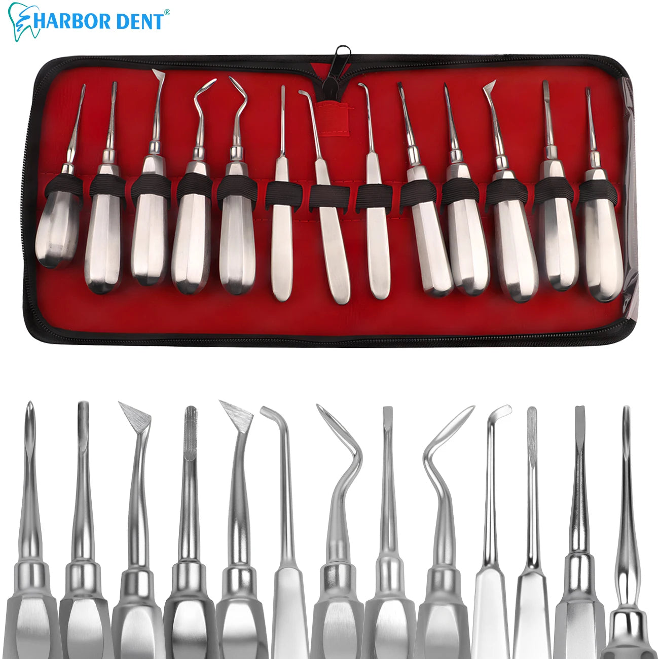 Professional 13-Piece Dental Extraction and Elevator Kit - 1