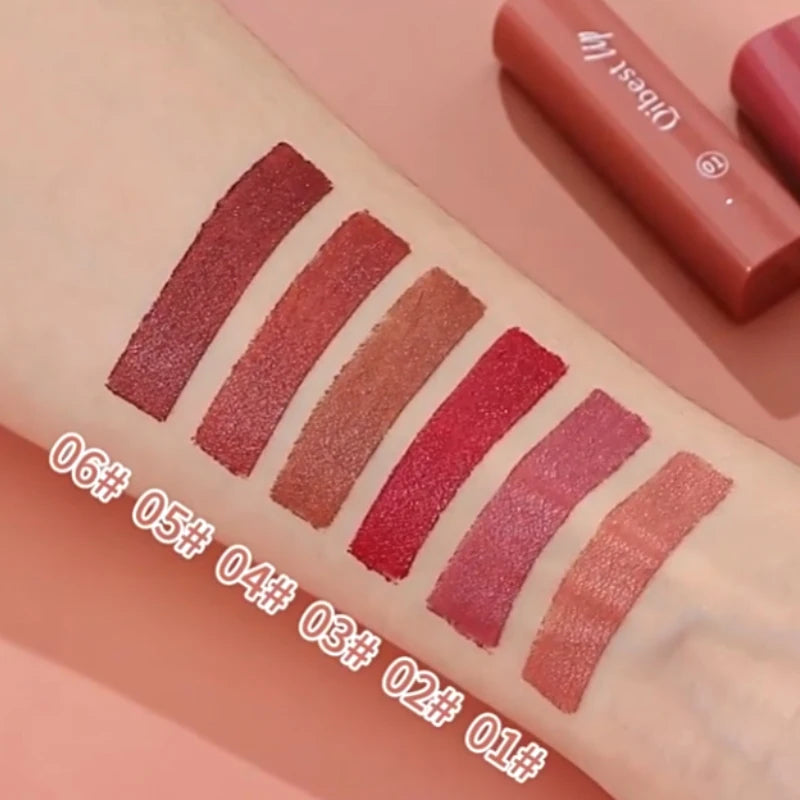 Waterproof Matte Lipstick Pencil Set - 4