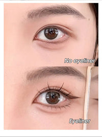 Precision Waterproof Liquid Eyeliner Pen