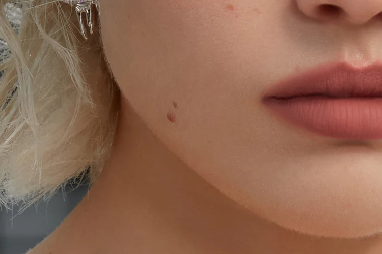 Velvet Matte Waterproof Liquid Lipstick - 26