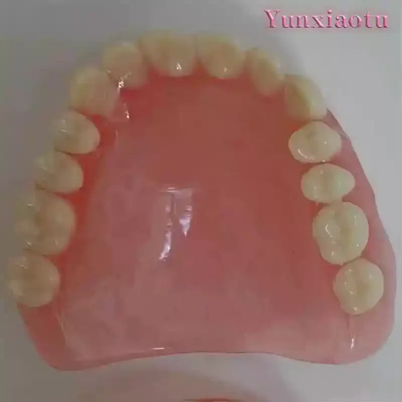 Full Mouth Denture Dental Study Model - 1