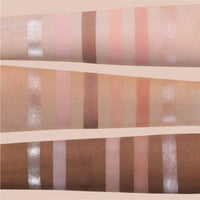 6-Color Swan Ballet Eyeshadow Palette