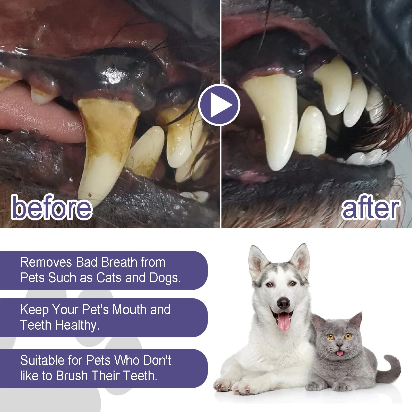 Pet Oral Repair Gel for Teeth Cleaning and Fresh Breath - 5