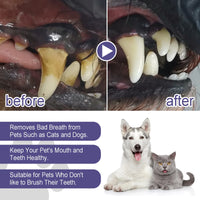 Pet Oral Repair Gel for Teeth Cleaning and Fresh Breath