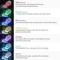 7-Color LED Facial and Neck Light Therapy Mask