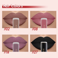 Long-Lasting Velvet Matte Liquid Lipstick