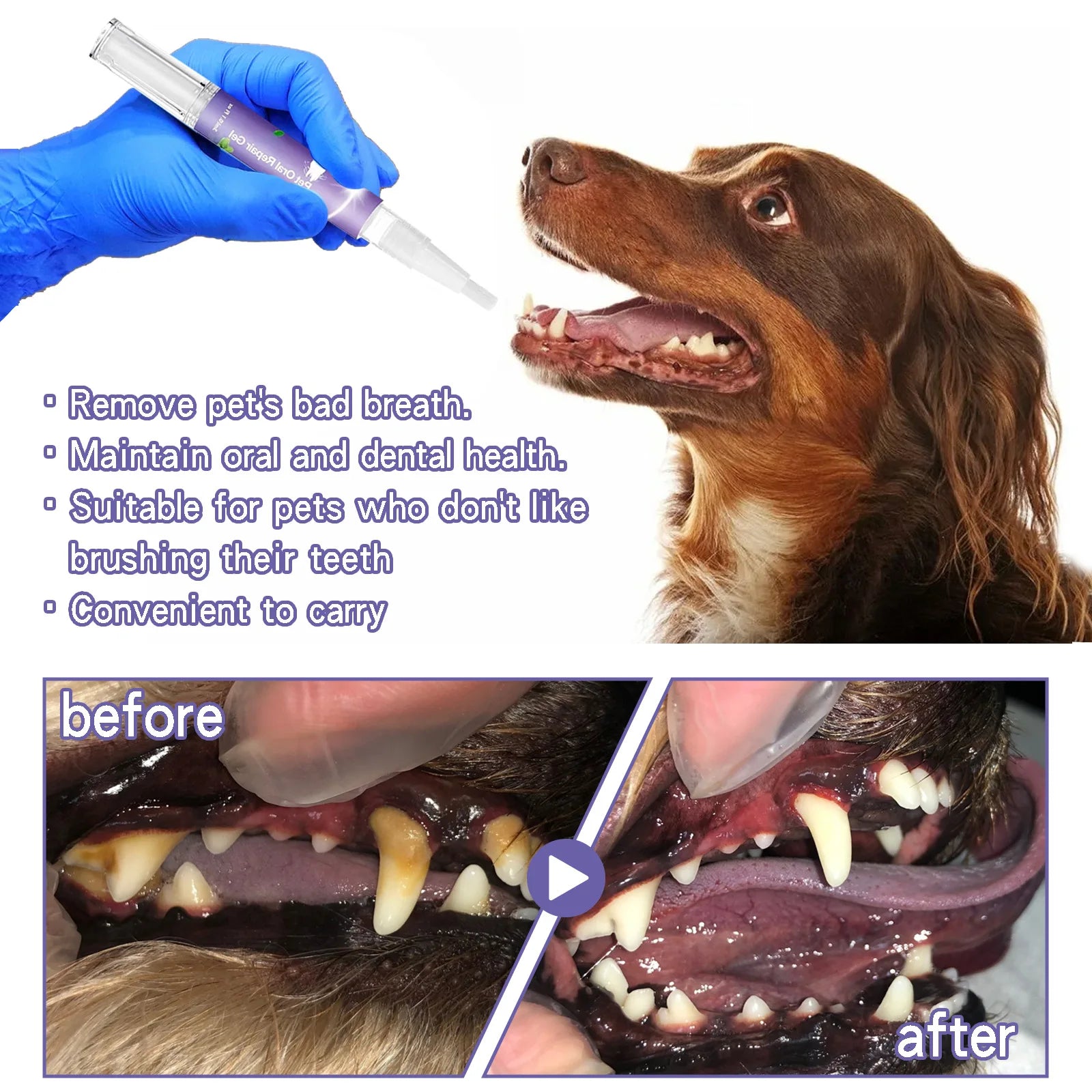 Pet Oral Repair Gel for Teeth Cleaning and Fresh Breath - 4