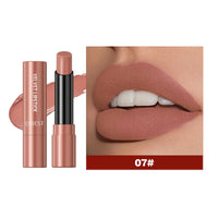 Velvet Matte Long-Lasting Lipstick