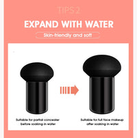 Mushroom Head Air Cushion Foundation and Concealer