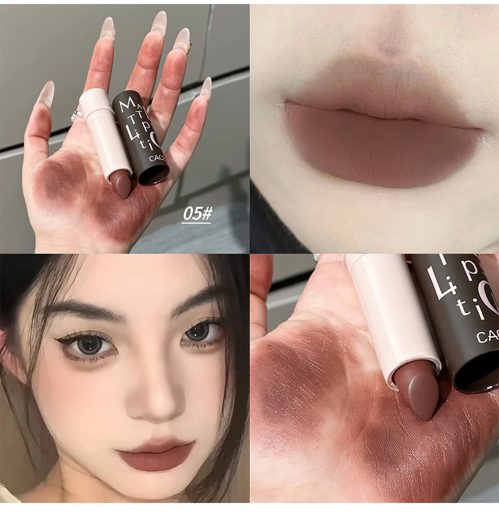 Long-Lasting Waterproof Matte Lipstick - 20