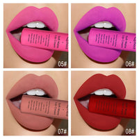 Velvet Matte Long-Lasting Liquid Lipstick
