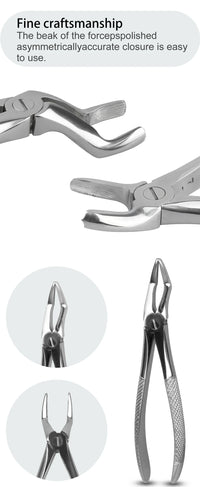 Professional Dental Extraction Forceps and Elevator Kit