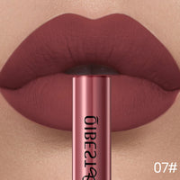 Long-Lasting Waterproof Velvet Matte Liquid Lipstick