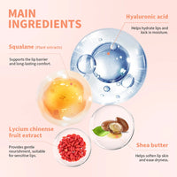 Hydrating Tinted Lip Balm for Dry Chapped Lips
