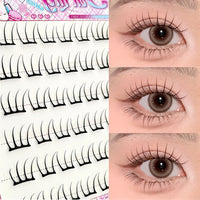Glue-Free Individual K-Pop Style Lash Extensions