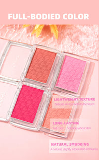 3D Embossed Powder Blush Palette for Radiant Cheeks