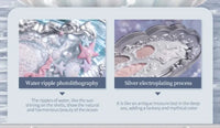 6-Color Shell Themed Eyeshadow Palette