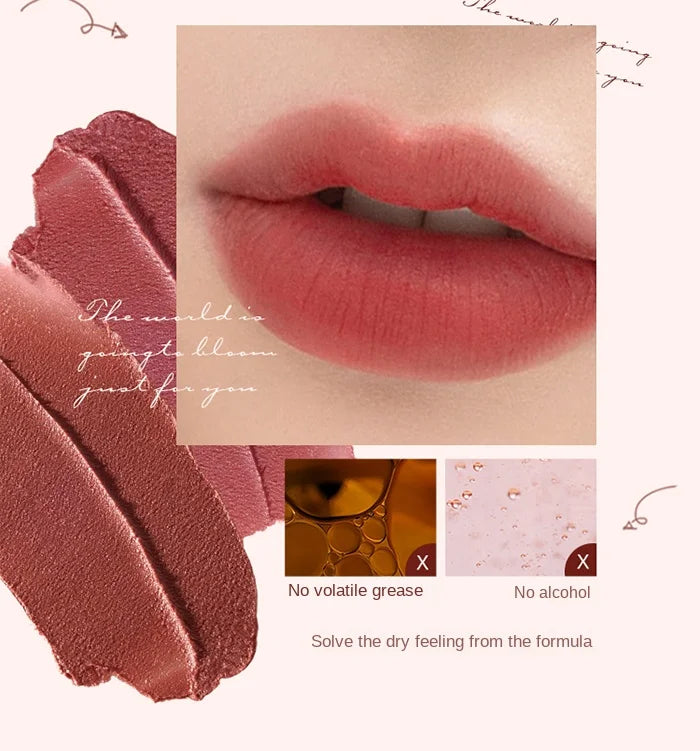 Long-Lasting Matte Cloud Liquid Lipstick - 11